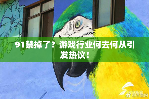 91禁掉了？游戏行业何去何从引发热议！
