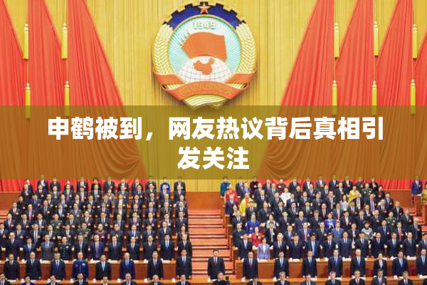 申鹤被到，网友热议背后真相引发关注