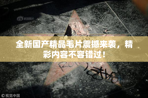 全新国产精品毛片震撼来袭，精彩内容不容错过！