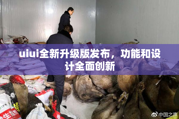 uiui全新升级版发布，功能和设计全面创新