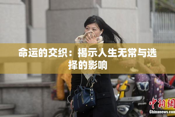 命运的交织：揭示人生无常与选择的影响