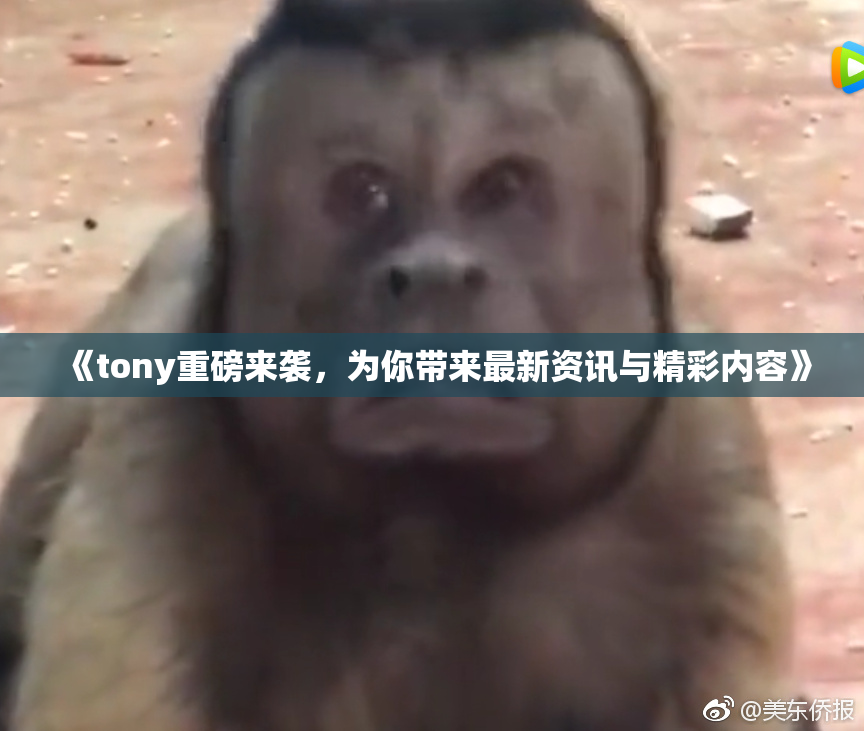 《tony重磅来袭，为你带来最新资讯与精彩内容》