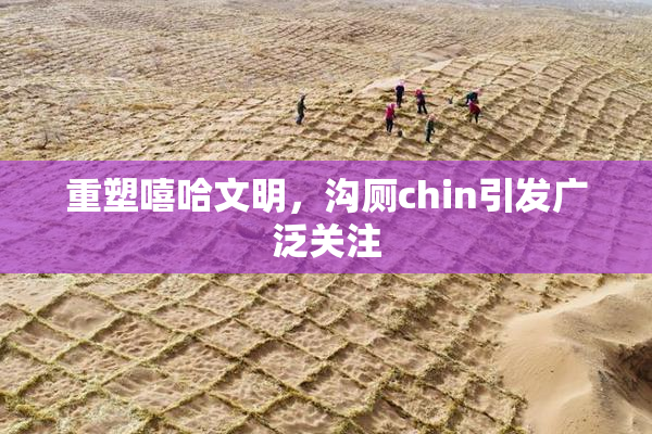 重塑嘻哈文明，沟厕chin引发广泛关注