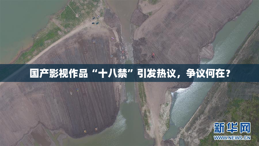 国产影视作品“十八禁”引发热议，争议何在？