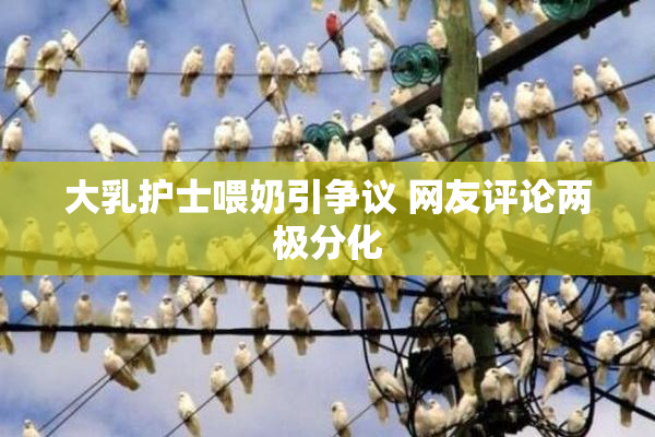 大乳护士喂奶引争议 网友评论两极分化