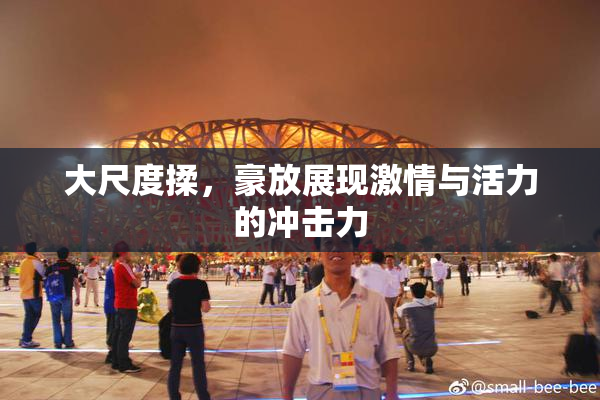 大尺度揉，豪放展现激情与活力的冲击力