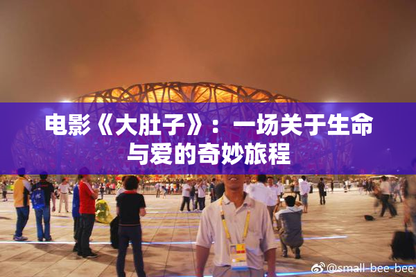 电影《大肚子》：一场关于生命与爱的奇妙旅程