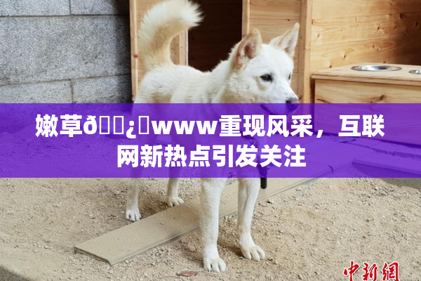 嫩草🌿‌www重现风采，互联网新热点引发关注