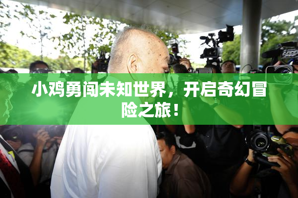 小鸡勇闯未知世界，开启奇幻冒险之旅！