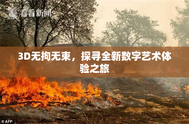 3D无拘无束，探寻全新数字艺术体验之旅