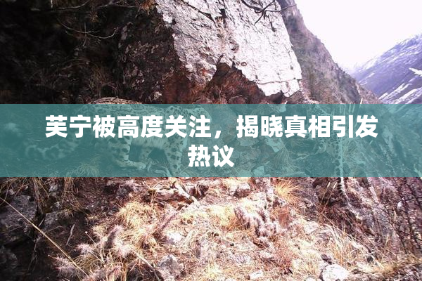 芙宁被高度关注，揭晓真相引发热议
