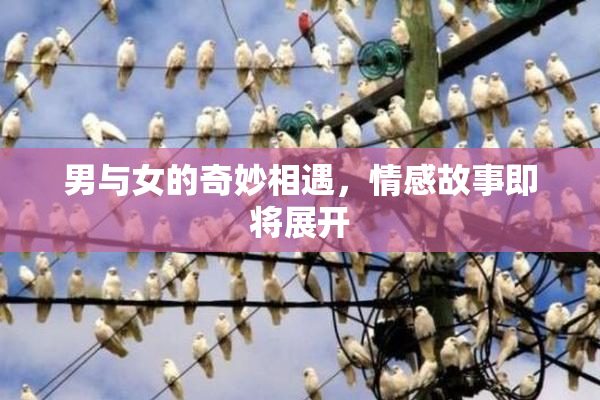 男与女的奇妙相遇，情感故事即将展开