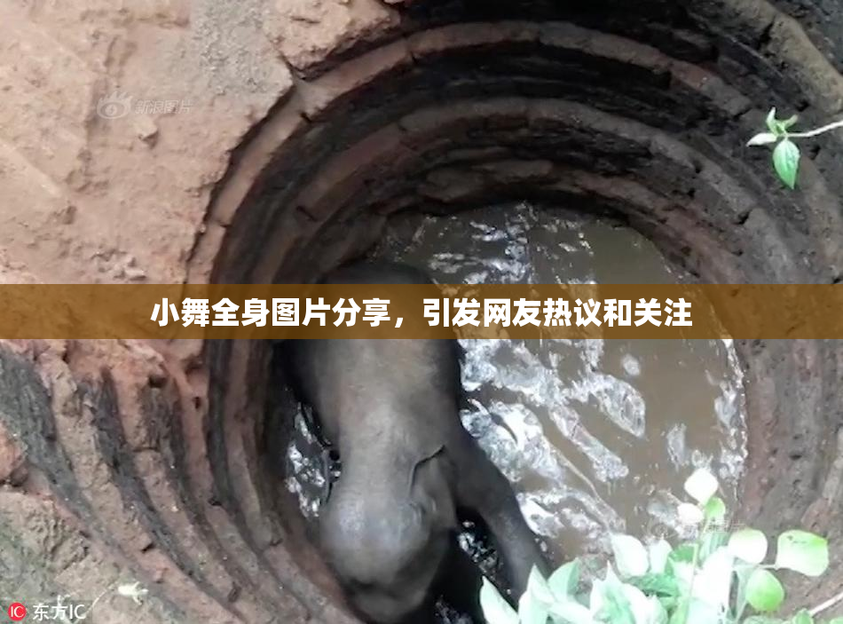 小舞全身图片分享，引发网友热议和关注