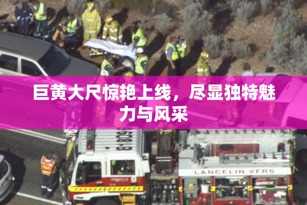 巨黄大尺惊艳上线，尽显独特魅力与风采