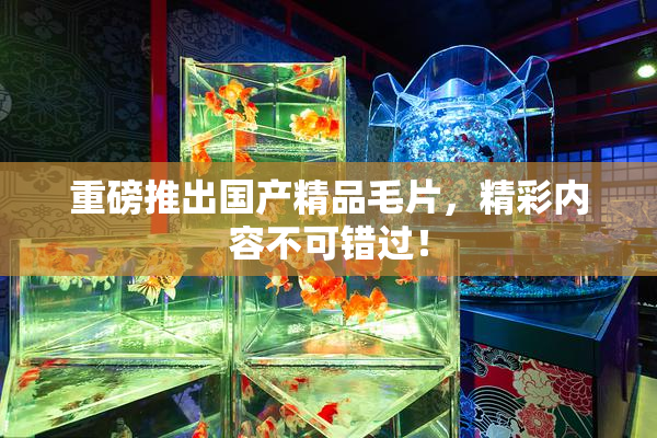 重磅推出国产精品毛片，精彩内容不可错过！