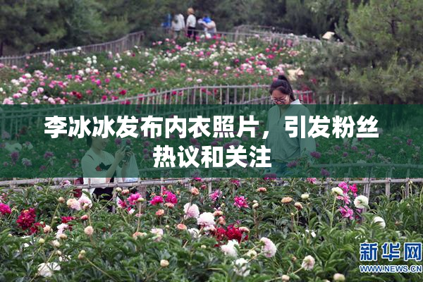 李冰冰发布内衣照片，引发粉丝热议和关注