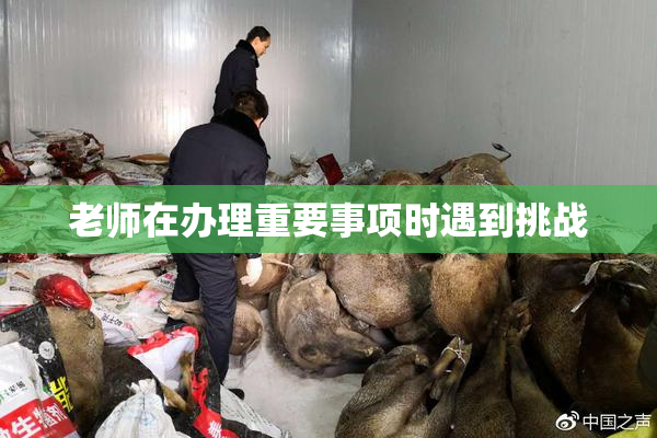 老师在办理重要事项时遇到挑战