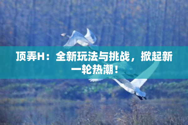 顶弄H：全新玩法与挑战，掀起新一轮热潮！