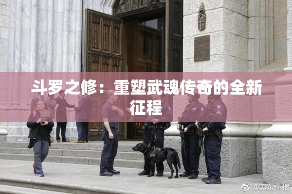斗罗之修：重塑武魂传奇的全新征程