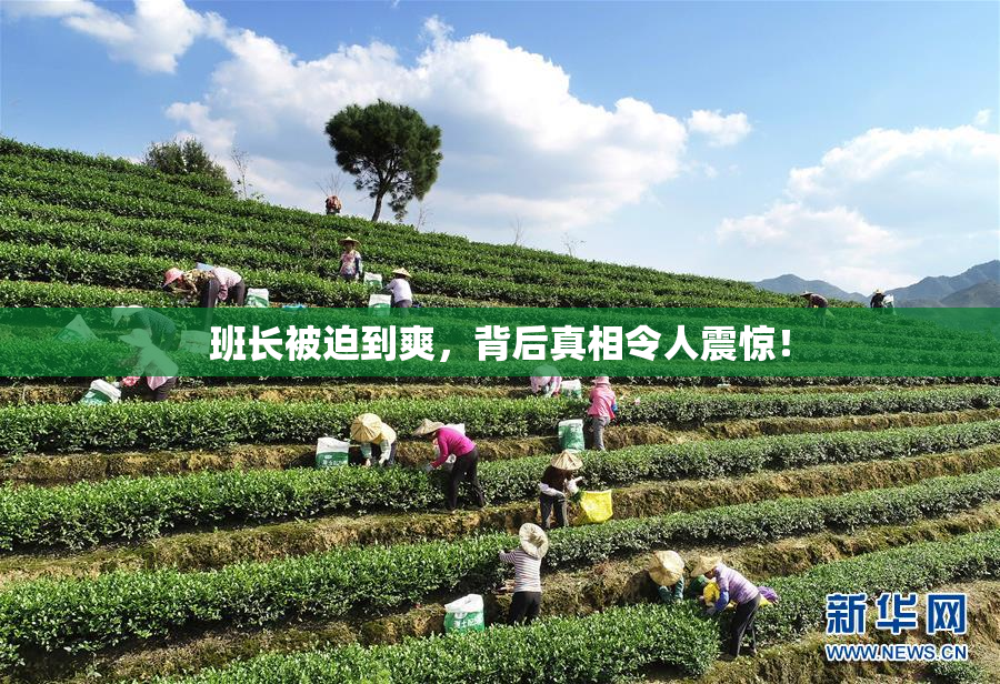 班长被迫到爽，背后真相令人震惊！