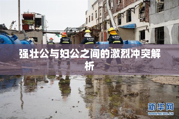 强壮公与妇公之间的激烈冲突解析