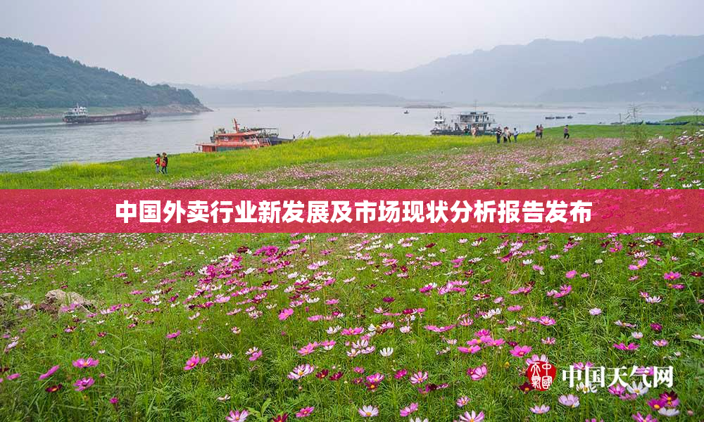 中国外卖行业新发展及市场现状分析报告发布