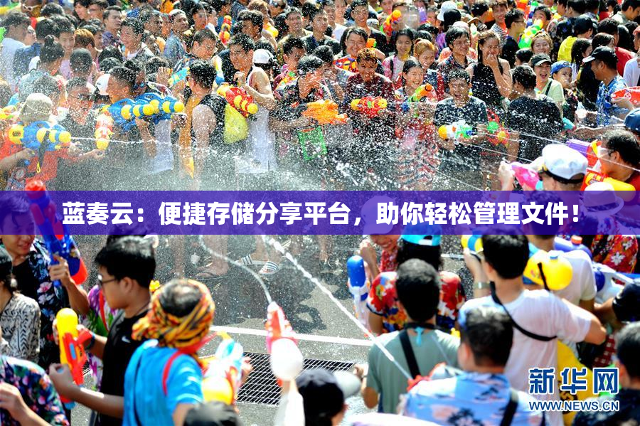蓝奏云：便捷存储分享平台，助你轻松管理文件！