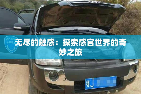 无尽的触感：探索感官世界的奇妙之旅