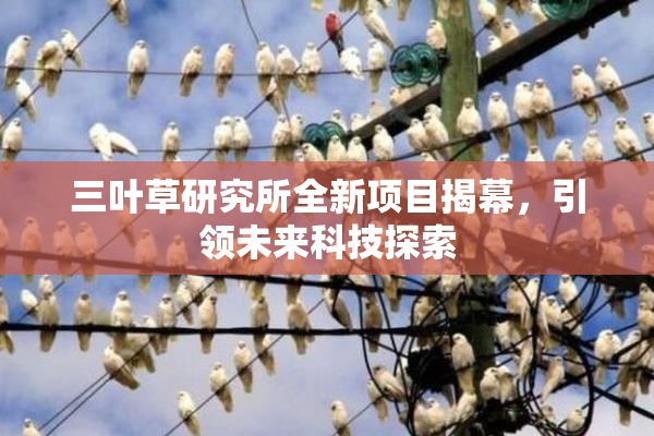 三叶草研究所全新项目揭幕，引领未来科技探索