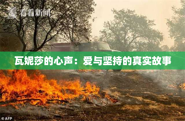 瓦妮莎的心声：爱与坚持的真实故事