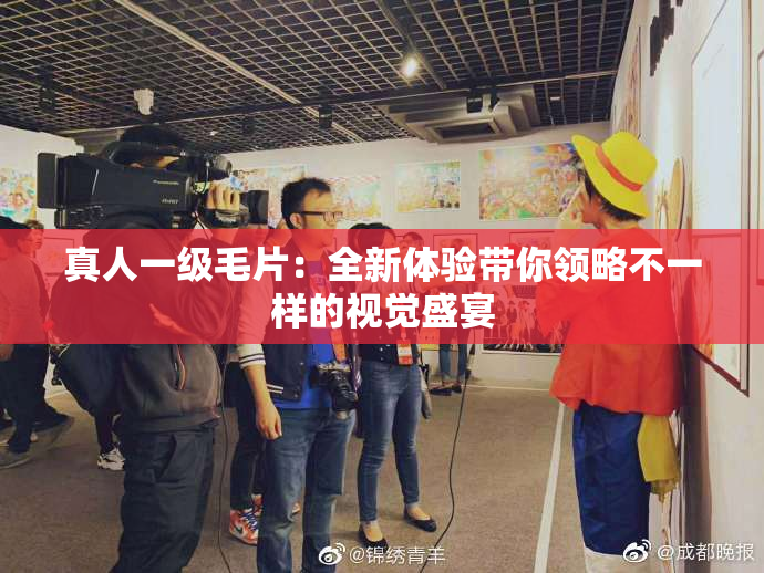 真人一级毛片：全新体验带你领略不一样的视觉盛宴