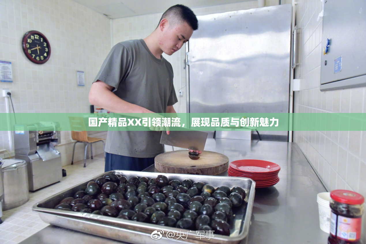 国产精品XX引领潮流，展现品质与创新魅力