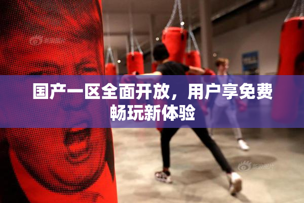 国产一区全面开放，用户享免费畅玩新体验