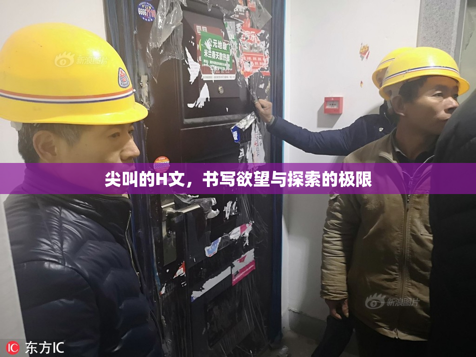 尖叫的H文，书写欲望与探索的极限