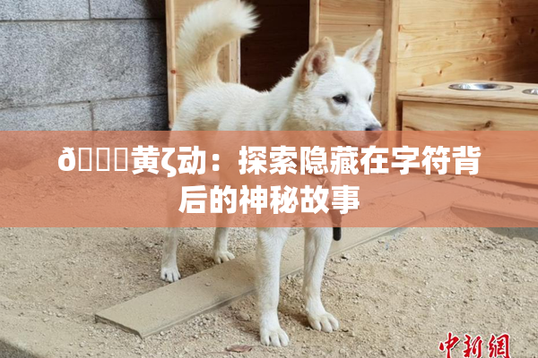 🔞黄ζ动：探索隐藏在字符背后的神秘故事