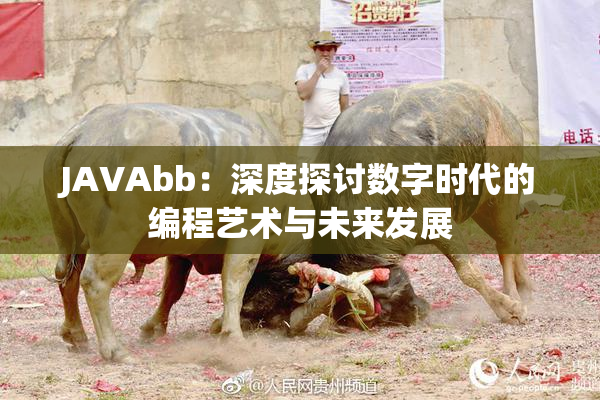 JAVAbb：深度探讨数字时代的编程艺术与未来发展