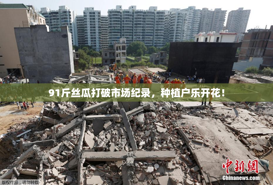 91斤丝瓜打破市场纪录，种植户乐开花！