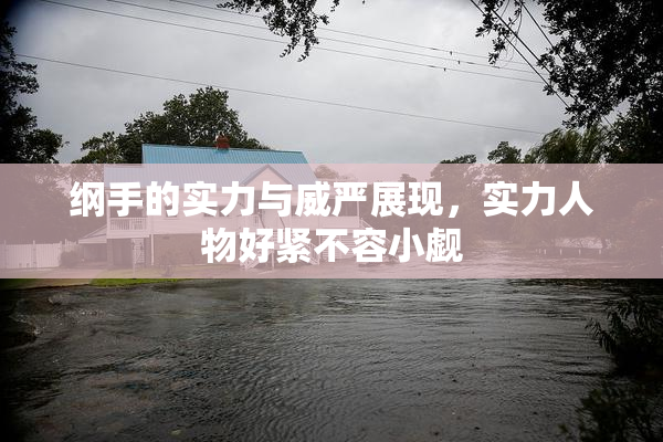 纲手的实力与威严展现，实力人物好紧不容小觑