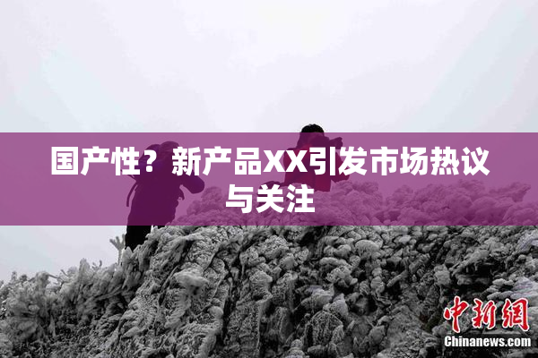 国产性？新产品XX引发市场热议与关注
