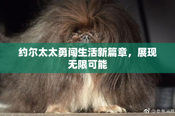 约尔太太勇闯生活新篇章，展现无限可能