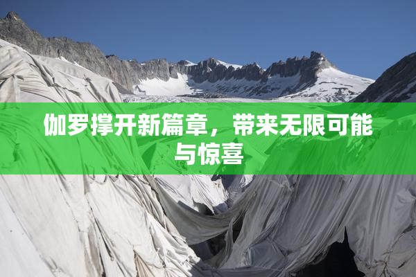 伽罗撑开新篇章，带来无限可能与惊喜