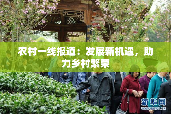 农村一线报道：发展新机遇，助力乡村繁荣
