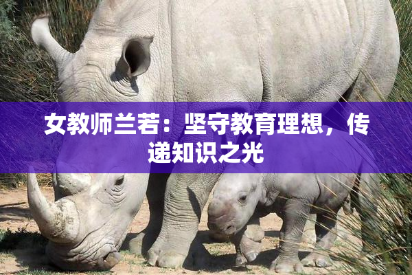 女教师兰若：坚守教育理想，传递知识之光