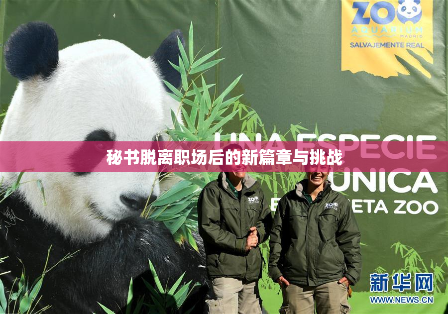 秘书脱离职场后的新篇章与挑战