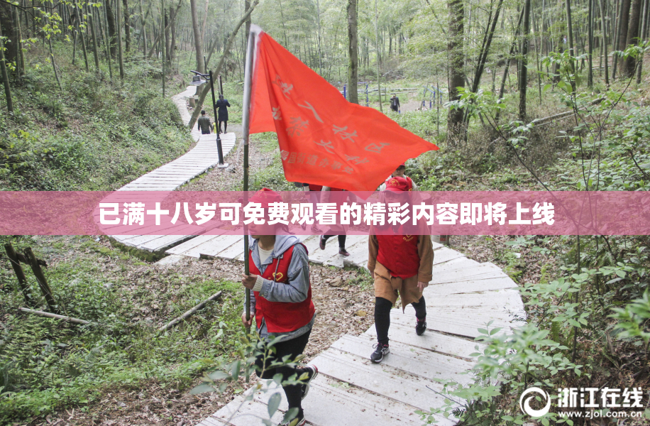 已满十八岁可免费观看的精彩内容即将上线