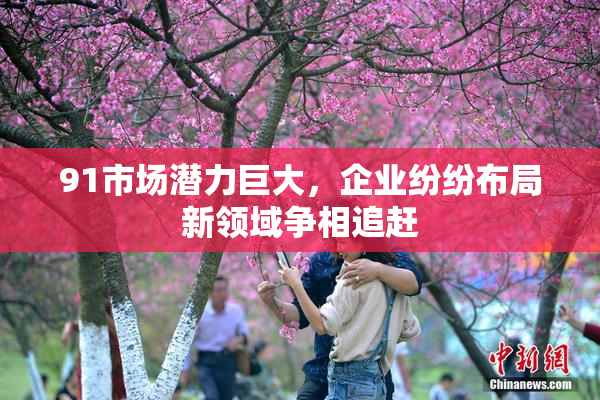91市场潜力巨大，企业纷纷布局新领域争相追赶
