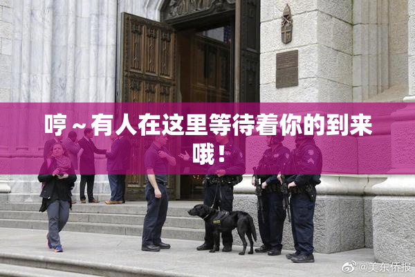 哼～有人在这里等待着你的到来哦！