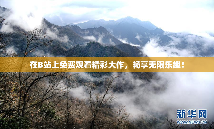 在B站上免费观看精彩大作，畅享无限乐趣！