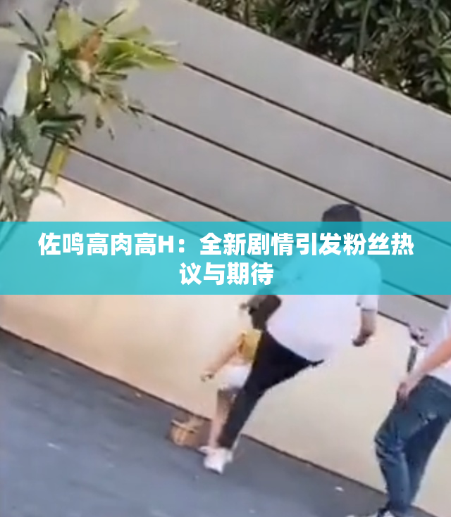 佐鸣高肉高H：全新剧情引发粉丝热议与期待