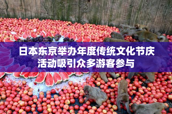 日本东京举办年度传统文化节庆活动吸引众多游客参与